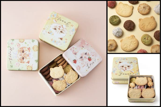 ホワイトデーで友達へのお返しにおすすめなDADACA(ダダカ) こねこのこねこねクッキー缶
