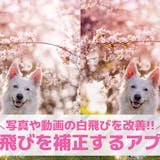 写真の白飛びを補正する方法&おすすめスマホ...