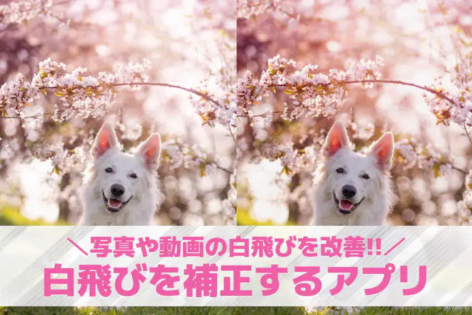 写真の白飛びを補正する方法&おすすめスマホアプリ10選。光飛びを直すやり方まで解説!