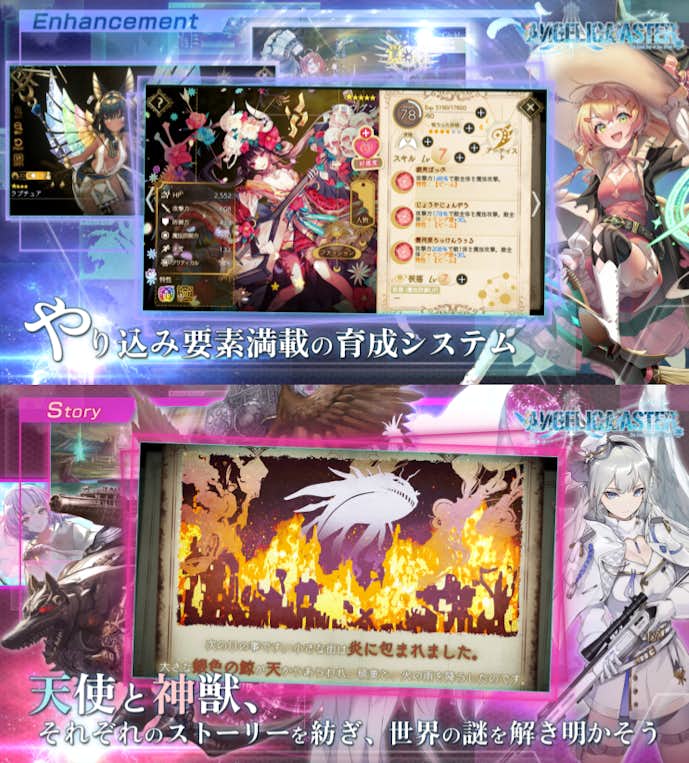 ANGELICA ASTERの詳細画像