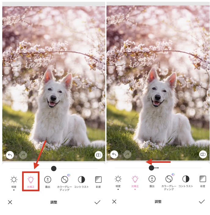 BeautyPlusで白飛びした写真を綺麗に修正する方法