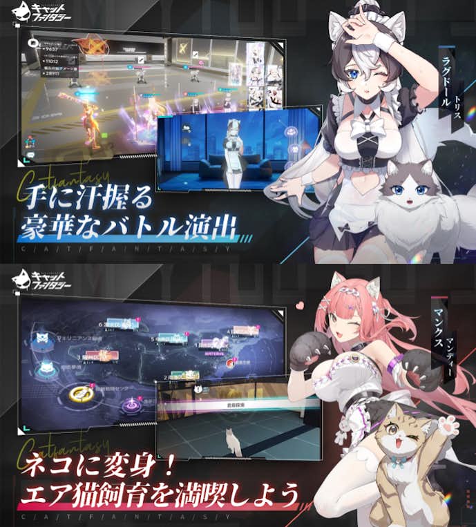 キャットファンタジーの詳細画像