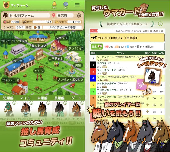 オシウマチャンネルの詳細画像.png