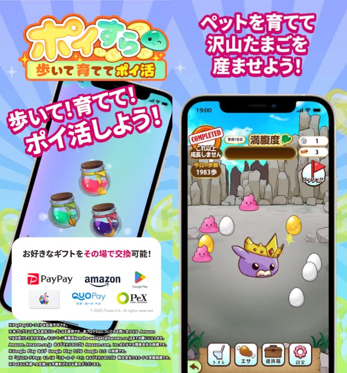 ポイすらの詳細画像
