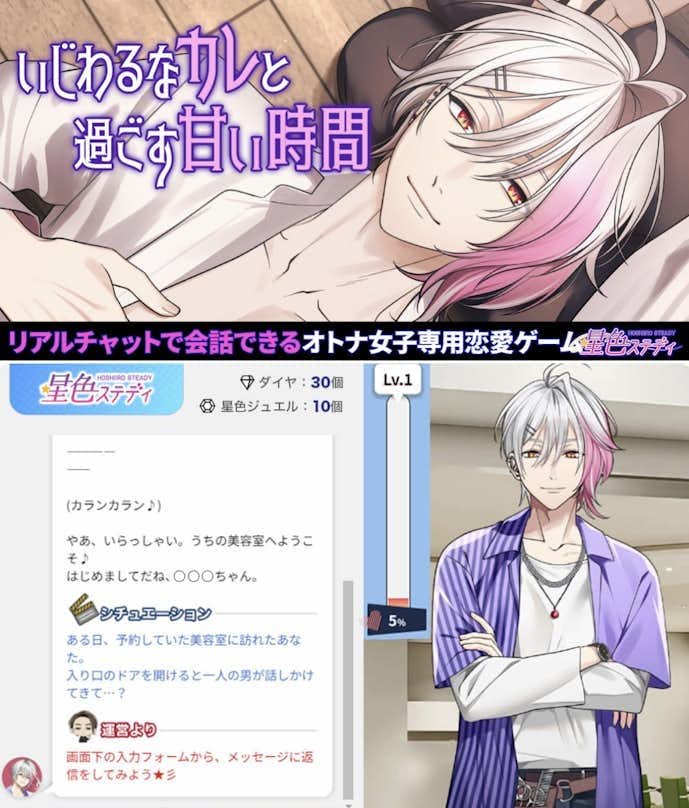 星色ステディの詳細画像.jpg