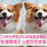 【無料】ぼやけた写真をくっきりさせるアプリおすすめ10選。ブレた写真・ピンボケを補正するアプリを紹介