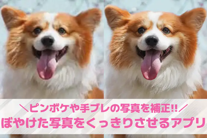 【無料】ぼやけた写真をくっきりさせるアプリおすすめ7選。ブレた写真・ピンボケを補正するアプリを紹介