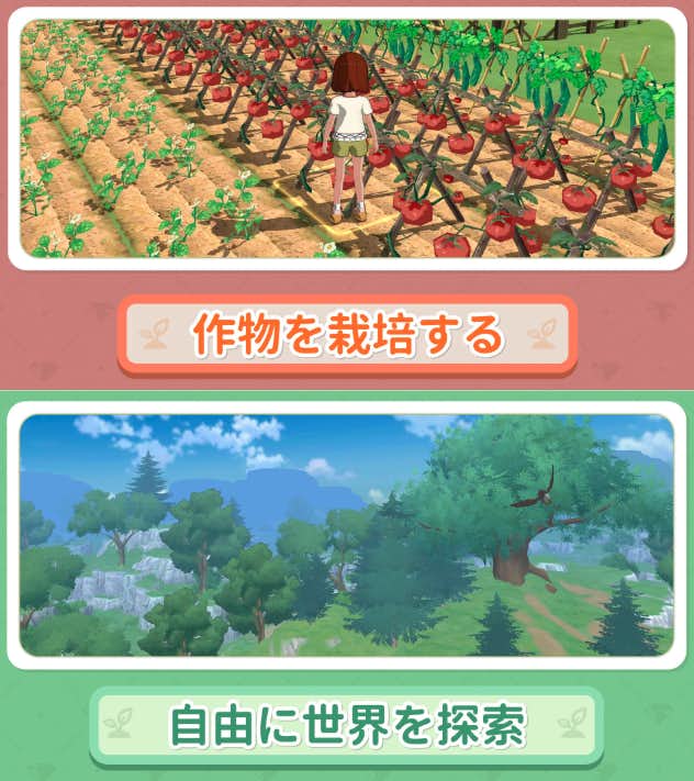 森こもり生活の詳細画像.png