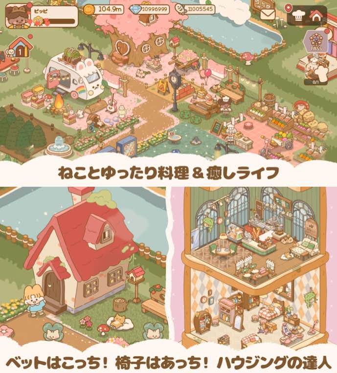 猫とレシピの詳細画像