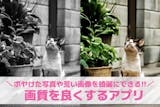 画質を良くするアプリおすすめ10選。画像を...