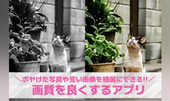 画質を良くするアプリおすすめ12選...