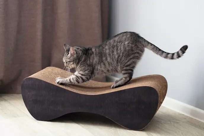 猫用の爪とぎのおすすめ17選。おしゃれでインテリアにもなる人気アイテムを徹底解説