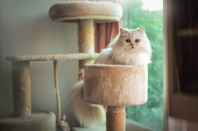 おしゃれなキャットタワーのおすすめ16選。インテリアに馴染む人気の猫タワーを大公開