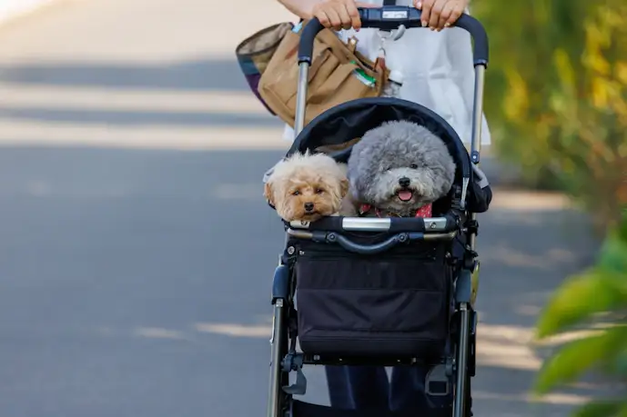 犬用カート/バギーのおすすめ12選。お出かけに便利な人気ペットカートを大公開!
