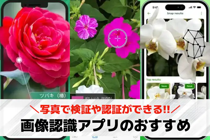 画像認識アプリのおすすめ11選。写真で検索や認証ができるアプリを大特集