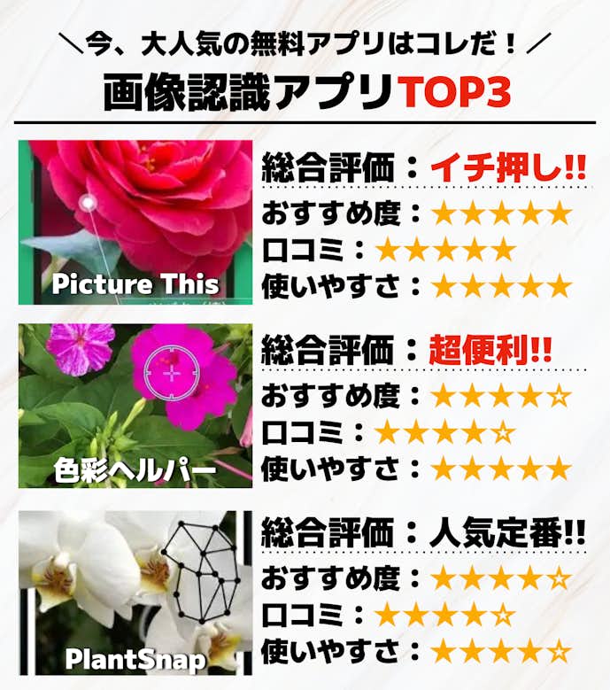 画像認識アプリTOP3