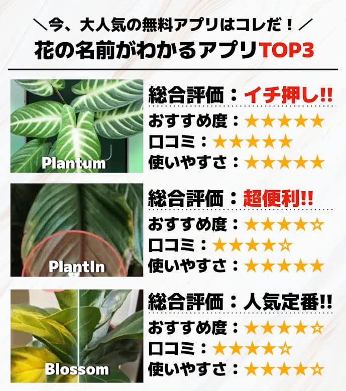 花の名前がわかるアプリTOP3