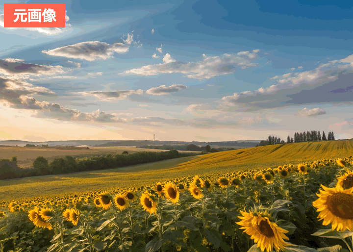 BeautyPlusで風景写真をイラストにした画像