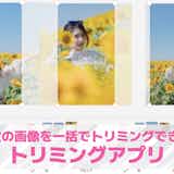 画像のトリミングが一括でできるアプリおすすめ10選【2026年最新】