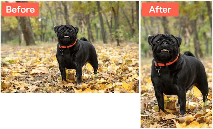 SNOWで横の写真を縦にした画像