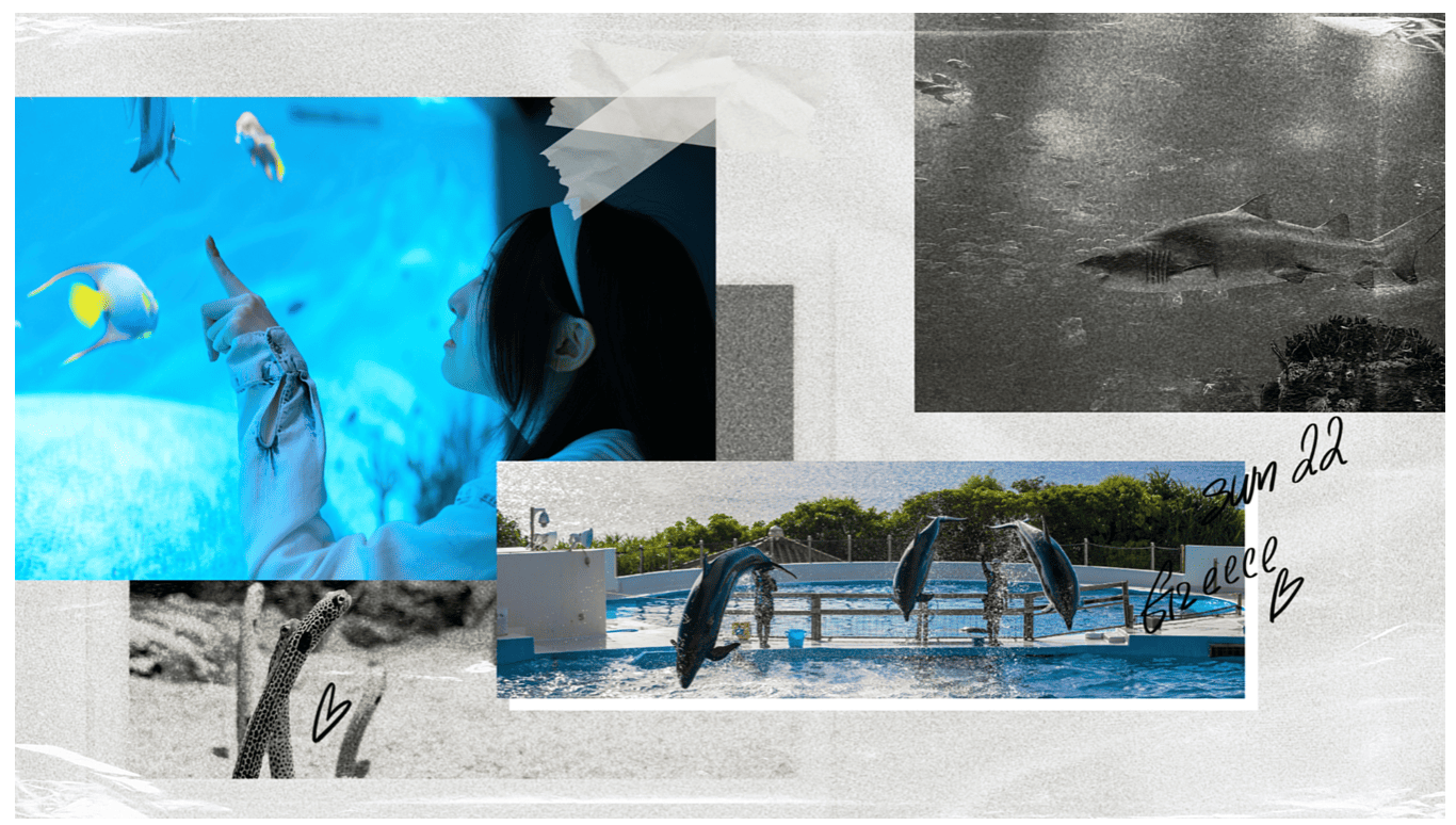 BeautyPlusので画像を結合した画像