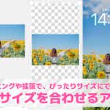 【無料】壁紙サイズを合わせるアプリおすすめランキング10選