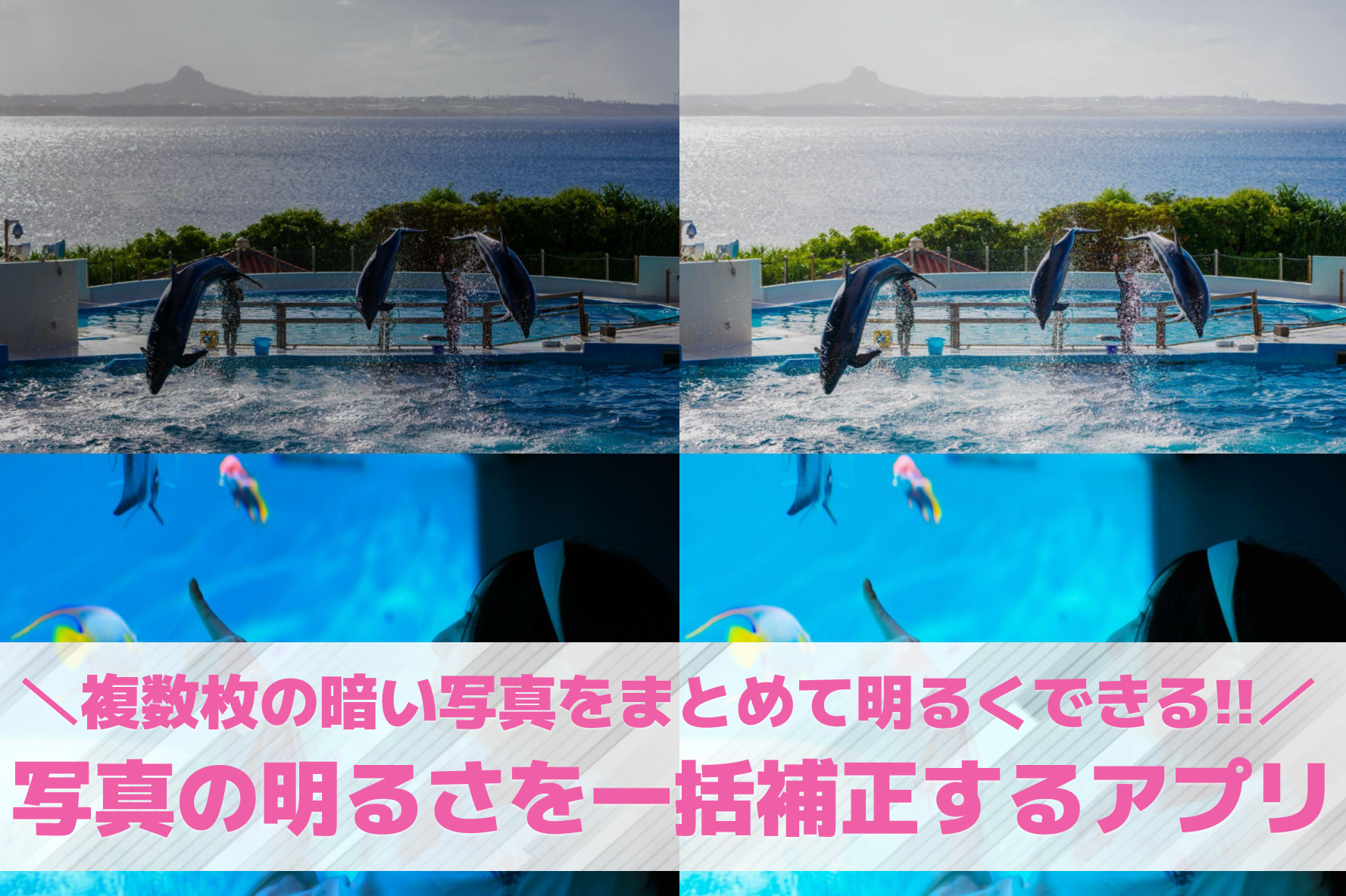 【無料】一括で写真の明るさ補正をす...