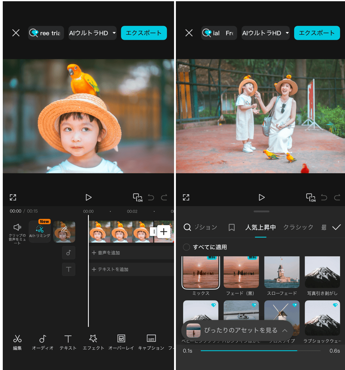 CapCutの詳細画面
