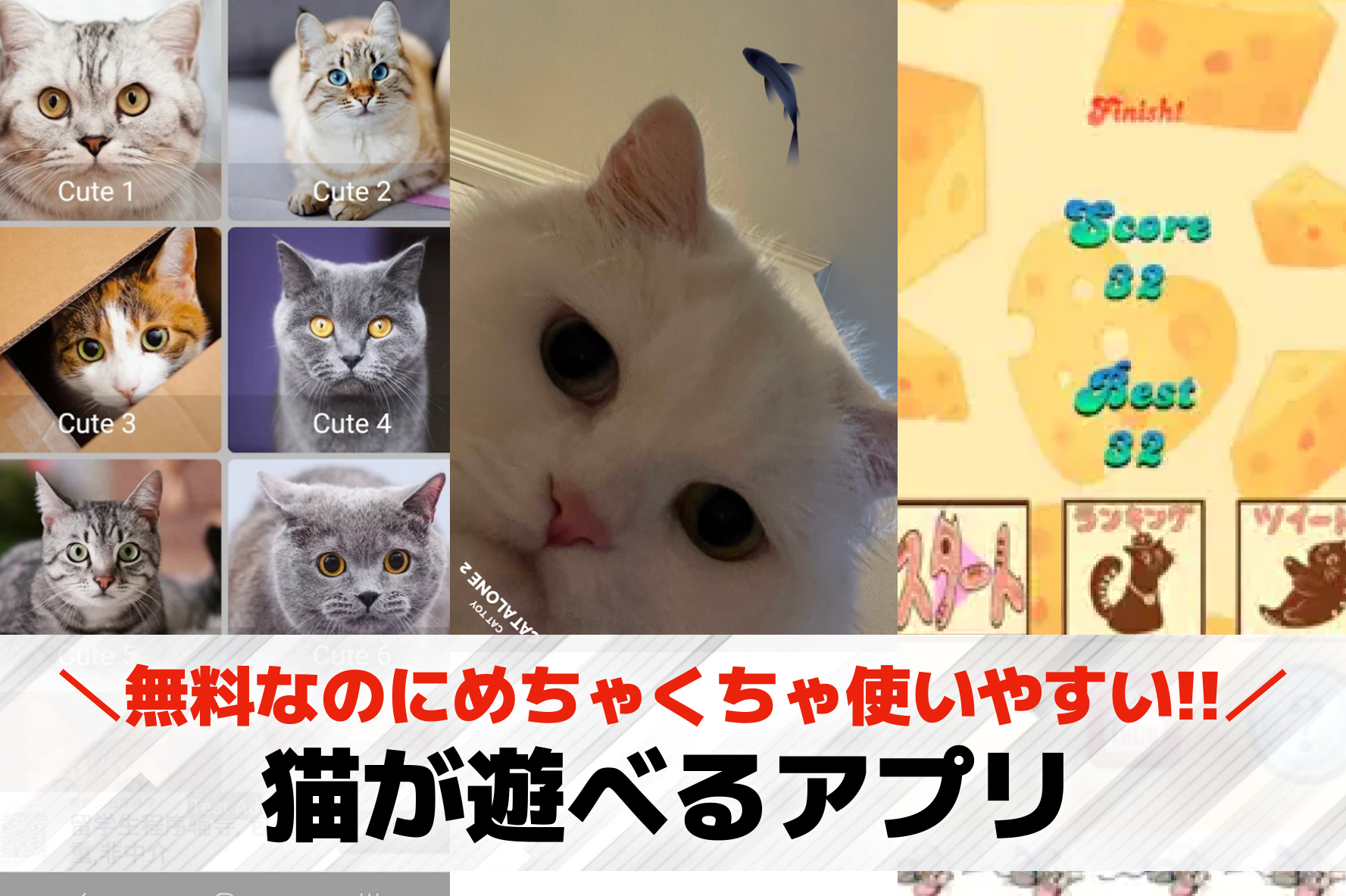 猫が遊べるアプリのおすすめ3選。ペ...