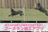 【無料】撮影済みの動画を後からブーメラン加...