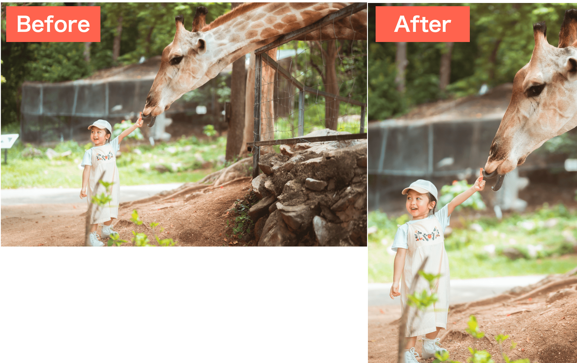 写真サイズ変更 (タテヨコ比率)で横の写真を縦にした画像