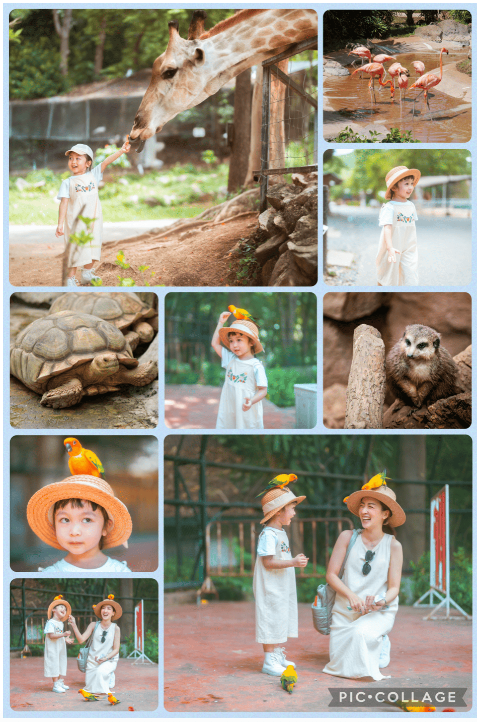 PicCollageで9枚の写真を並べた画像