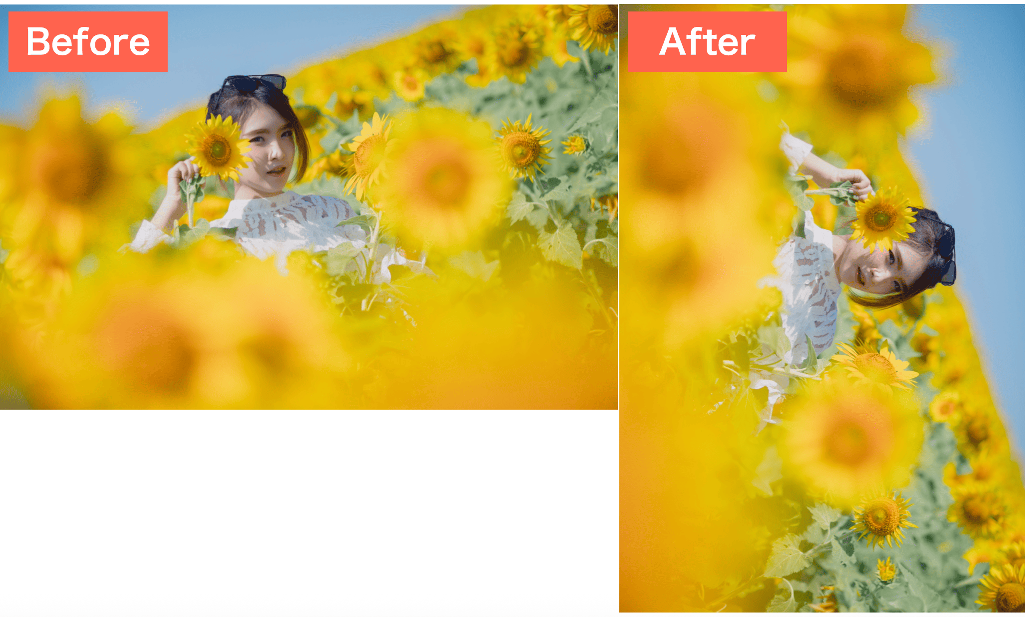 写真まとめて回転で横の写真を縦にした画像