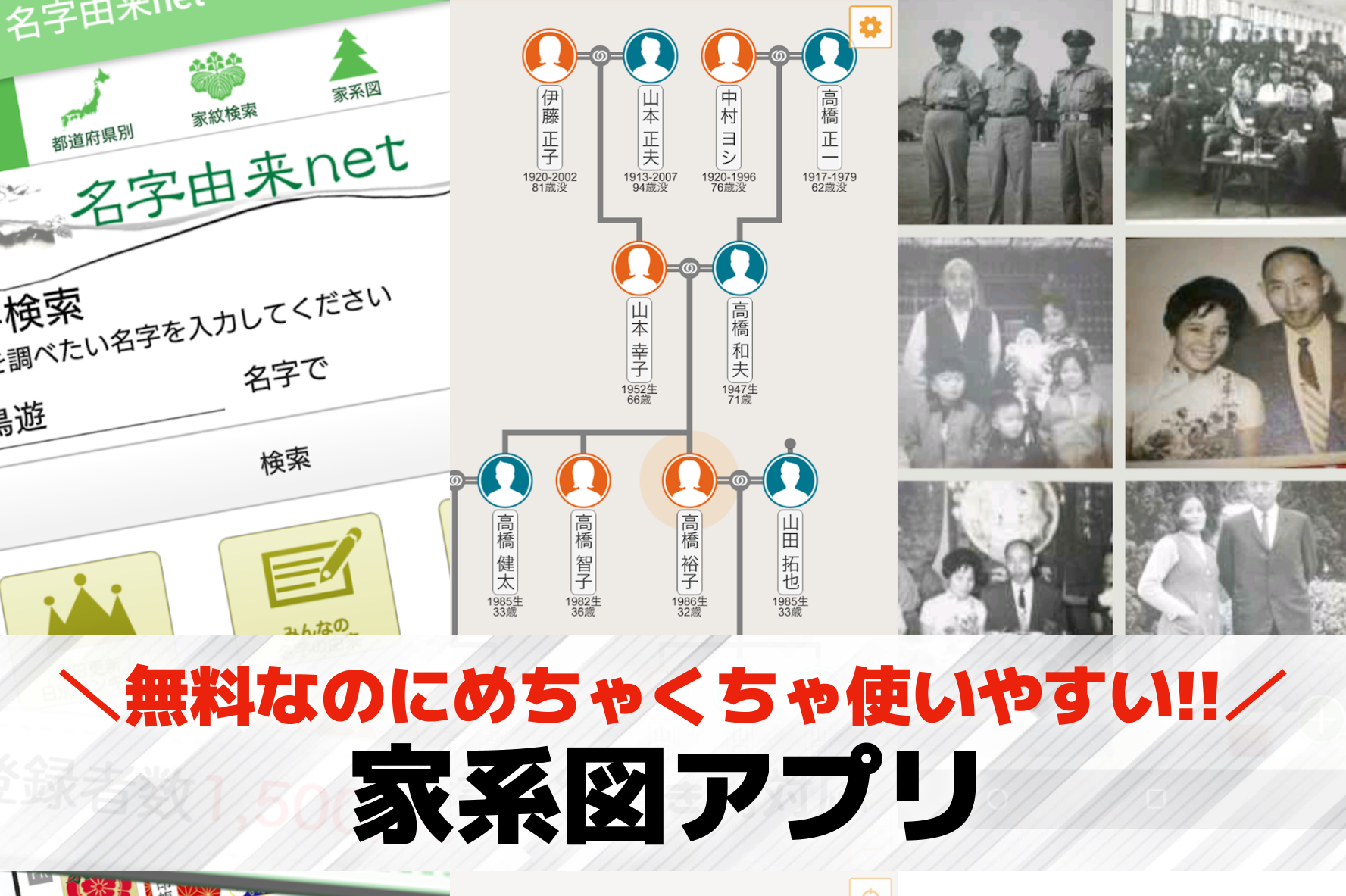家系図アプリのおすすめ特集。スマホ...