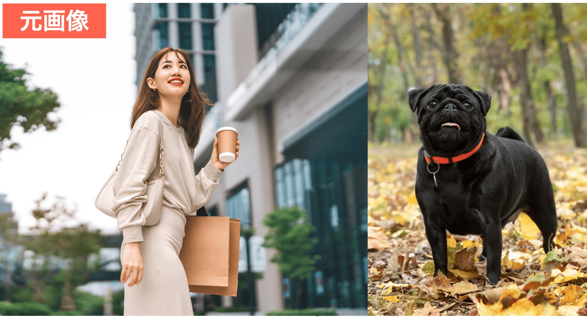 BeautyPlusの『チャット編集』で自由に写真を合成する時の元画像