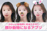 【無料】顔が動物になるアプリおすすめランキ...