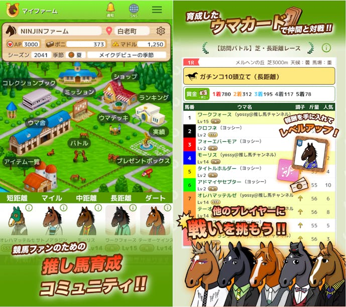 オシウマチャンネルの詳細画像.png