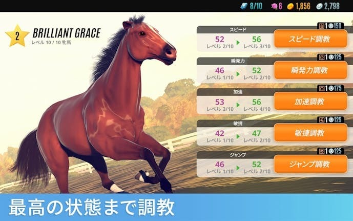 ライバル_スターズ_ホース_レーシング.jpg