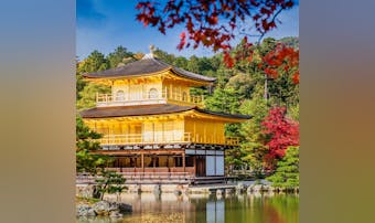 京都の紅葉名所を巡る、秋のデートコ...