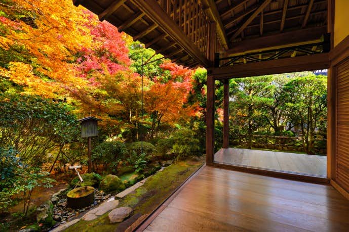 京都にある龍安寺の紅葉