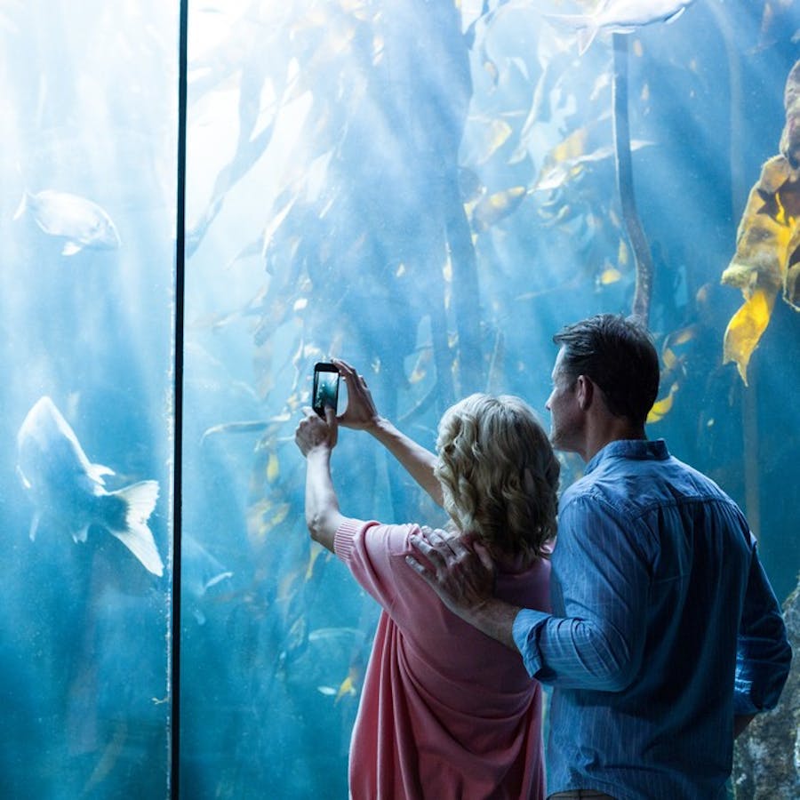 水族館デートへ付き合う前 初デートで行くと恋が加速する 7つの理由 Smartlog