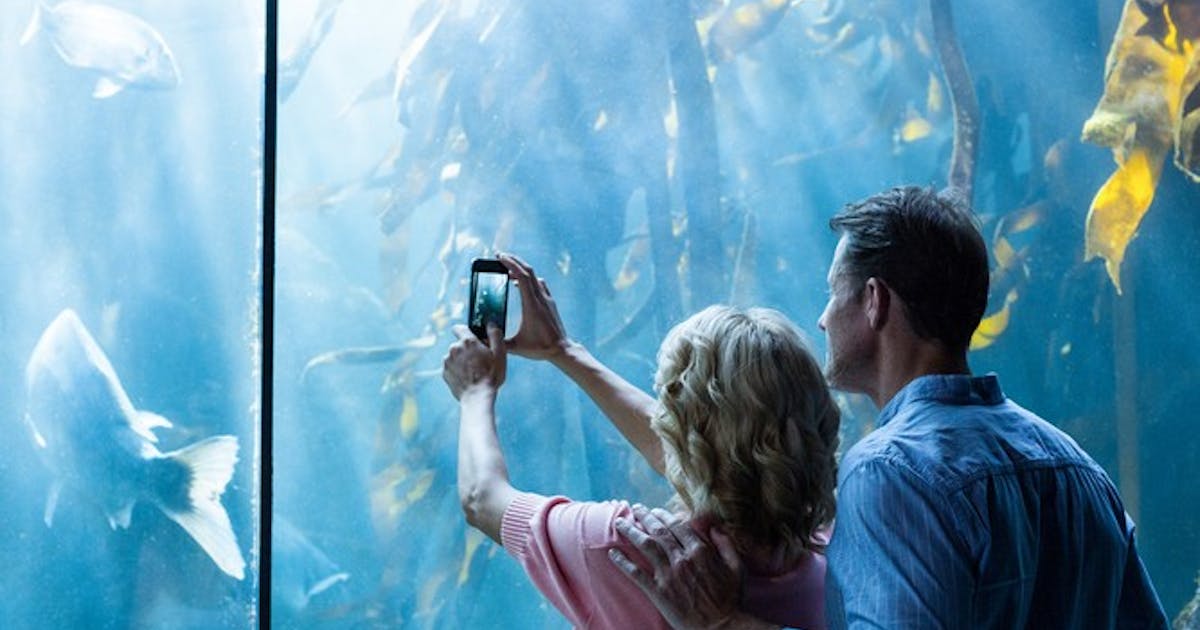 水族館デートへ付き合う前に行くと恋が加速する 7つの理由 Smartlog 水族館デートへ付き合う前に行くと恋が加速する 7つの理由 Smartlog