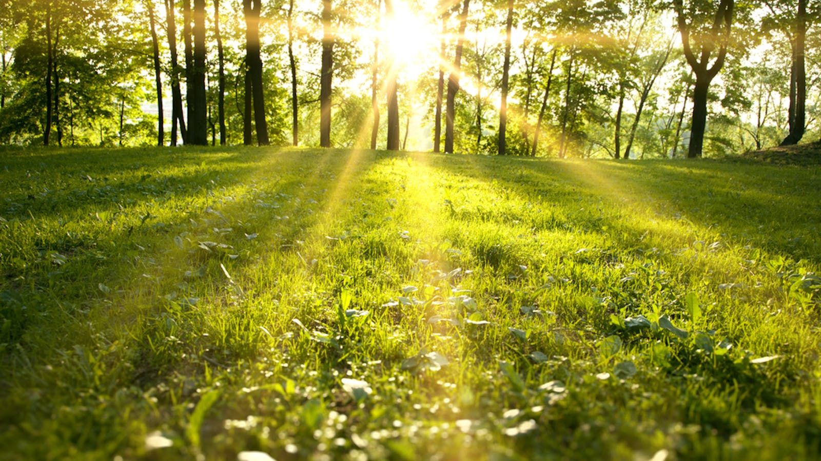 失恋の名言26選 好きな人を忘れるための 神々しい 言葉たち Smartlog 失恋の名言26選 好きな人を忘れるための 神々しい 言葉たち Smartlog