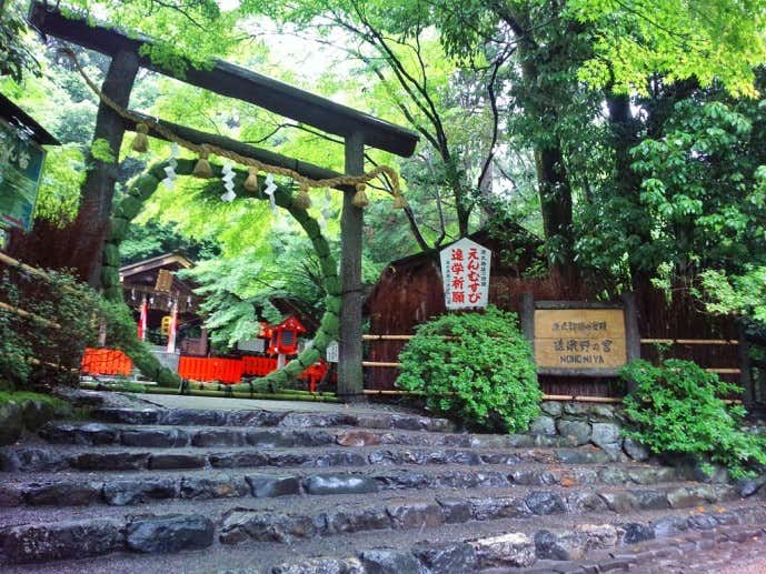 京都の野宮神社で紅葉デート
