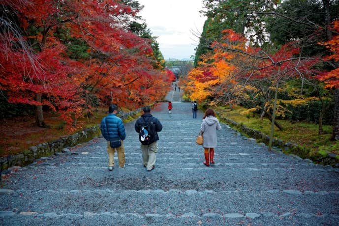 京都の二尊院で紅葉デート