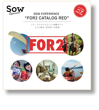 結婚祝いのプレゼントにソウエクスペリエンスのレッドの体験型ギフト