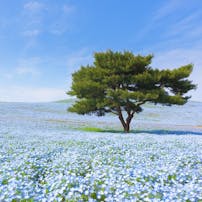 東京 カップルが長続きするマンネリ解消の人気デートスポット9選 Smartlog