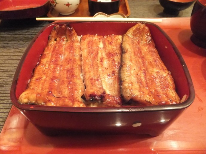 うな藤　うなぎ