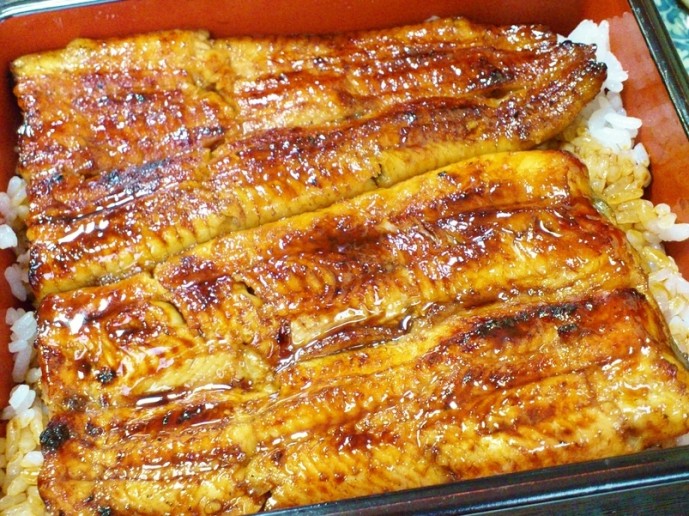 神田川　うなぎ