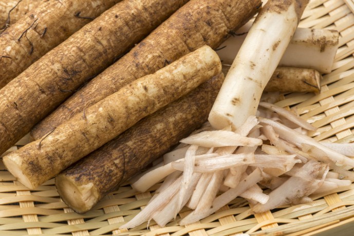 プロテイン　食事　ごぼう